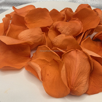 Gedroogde sinaasappelroosblaadjes confetti bruiloft biologisch afbreekbare geconserveerde bloemblaadjes bulk losse feestdecoratie gevriesdroogde bloemen zakjes