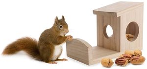 Mangeoire d'écureuil en bois personnalisée - Product Image 2