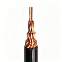 Cable de Transmisión de Energía Aéreo de Alta Tensión de Cobre JKVJ Personalizado, con Aislamiento de PVC, Resistente a la Intemperie, para Construcción