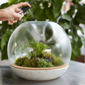 Terrario Vaso Mouthblown Geometrica Borosilicato <span class=keywords><strong>di</strong></span> <span class=keywords><strong>Vetro</strong></span> Piante Terrario Vaso <span class=keywords><strong>di</strong></span> <span class=keywords><strong>Vetro</strong></span> - Product Image 3