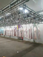 Conception d'une petite abattoirie pour porcs, équipement de ligne d'abattage pour 50 à 100 porcs