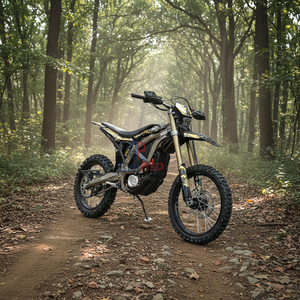 <span class=keywords><strong>Mini</strong></span> <span class=keywords><strong>moto</strong></span> tout-terrain Surron, <span class=keywords><strong>moto</strong></span> électrique tout-terrain Surron 2025 Ultra Bee - Product Image 5