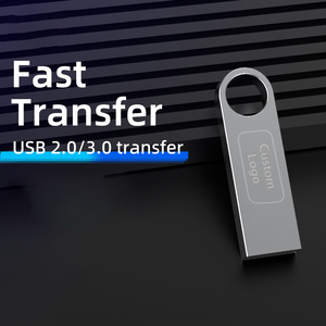 Ranguo Custom Logo Metal USB Flash Drive 8GB-128GB, USB 2.0/3.0, Keychain Hole, Bulk Promotional Gift for Corporate Events