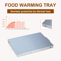 Plateau chauffant électrique portable certifié CB avec boîtier en acier inoxydable, contrôle de la température, 2 brûleurs pour usage domestique