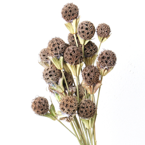 Lulutong ventes directes nouveau Style chinois bricolage Arrangement de fleurs matériaux <span class=keywords><strong>Bouquet</strong></span> de fleurs séchées pour la fête des mères - Product Image 2