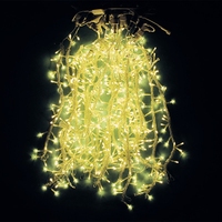 Hübscher Stil 24V/110V/220V Hochzeits feier Dekoration LED Vorhang Eiszapfen Lichterketten mit Kupferdraht