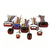 Adaptateur en cuivre pur OEM/ODM personnalisé, connecteur avec gaine en PVC, assemblage de câbles pour applications automobiles, industrielles et domestiques pour véhicules électriques