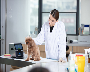 Analizador de Bioquímica completamente automático más vendido EUR VET Precio Equipo veterinario Analizador de Química seca veterinaria - Product Image 6