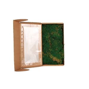 Hoja de alta calidad, <span class=keywords><strong>musgo</strong></span> Natural <span class=keywords><strong>español</strong></span>, <span class=keywords><strong>musgo</strong></span> de pared conservado colorido para decoración de la casa - Product Image 4