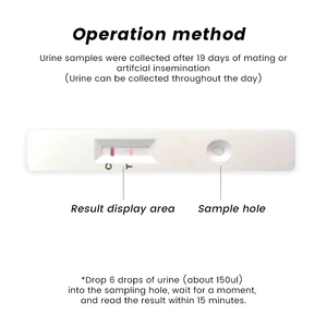 Nouveau <span class=keywords><strong>Kit</strong></span> de <span class=keywords><strong>Test</strong></span> de Gestation Rapide <span class=keywords><strong>HCG</strong></span> pour Porcs de Haute Qualité pour Usage Agricole - Product Image 5