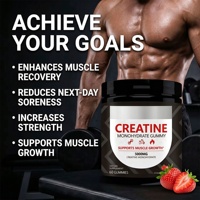 Vente en gros OEM Marque privée Saveur personnalisée Sans sucre Halal Végétalien Croissance musculaire Pré-entraînement 5g Créatine monohydrate Gomme 5000mg