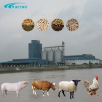 Ligne de production de granulés d'aliments pour animaux Mufeng personnalisée, 10-20 T/H, pour l'élevage de volailles, équipement d'usine d'aliments pour animaux, entièrement automatique