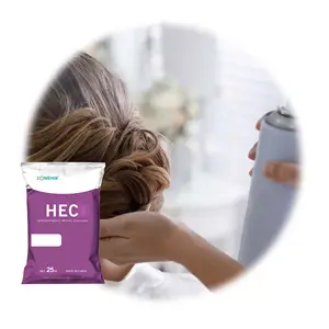 Produits chimiques quotidiens Matériaux Additifs Binder Hydroxyethyl Cellulose Ether HEC Poudre Pour Hairspray