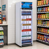 Vitrine réfrigérée commerciale R290 à refroidissement statique pour boissons, 1/2/3 portes, 0-10 °C ° C pour les magasins de détail