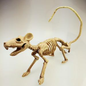 Halloween Horror Calavera Animal Articulaciones móviles <span class=keywords><strong>Esqueleto</strong></span> Murciélago Araña Escorpión <span class=keywords><strong>Rata</strong></span> Serpiente Casa embrujada Accesorios Sapo <span class=keywords><strong>Esqueleto</strong></span> - Product Image 2