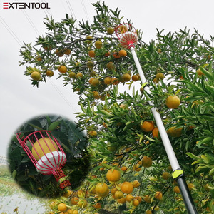 Extentool 24ft nouveaux outils <span class=keywords><strong>de</strong></span> cueillette <span class=keywords><strong>de</strong></span> <span class=keywords><strong>fruits</strong></span> <span class=keywords><strong>cueilleur</strong></span> <span class=keywords><strong>de</strong></span> <span class=keywords><strong>fruits</strong></span> télescopique avec outil <span class=keywords><strong>de</strong></span> jardin à poteau télescopique en aluminium - Product Image 6