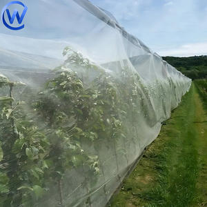 <span class=keywords><strong>Filet</strong></span> <span class=keywords><strong>anti</strong></span>-insectes en plastique HDPE de haute qualité pour l'agriculture et le jardin, maille 40, blanc, <span class=keywords><strong>anti</strong></span>-mouches, <span class=keywords><strong>anti</strong></span>-insectes pour serre - Product Image 1