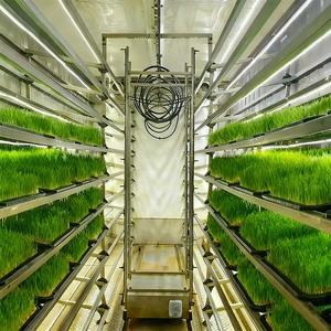 Containerized Irrigation System Blue Steel Aquaponic Hydroponics Farming Equipment With Pump Easy To Operate - Product Image 5