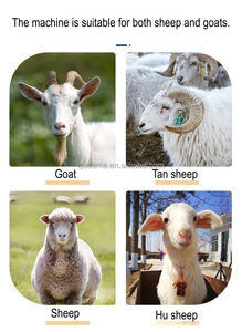 Cortadora de Pezuñas Portátil para Ovejas y Cabras, Máquina para Recortar Pezuñas con Báscula - Product Image 5