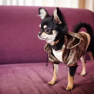 Amazon Pakaian Desainer Hewan Peliharaan Anjing Pakaian Mewah Hoodie Mode Jaket Anjing Kucing Mantel