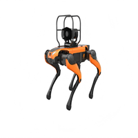Robot quadrupède de patrouille industrielle avec fonctions de sécurité IA RXR-T52
