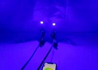 Yeux de diable d'oeil de démon de LED RVB lumineux élevé pour l'état neuf de lentille de projecteur