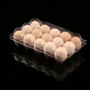 15 Pack Plastic Egg Cartons Bulk Empty Clear Chicken Egg Tray Holder für Family Pasture Chicken Farm Business Market