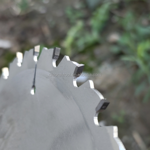 China Factory <strong>DADO</strong> Saw <strong>Blade</strong> for Woodworking - Product Image 5