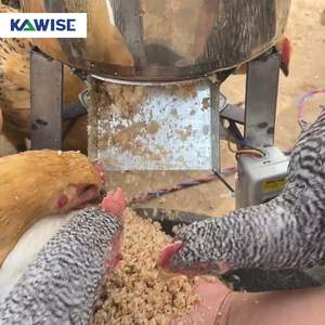 Trituradora Eficiente de Verduras y Forraje para Uso Agrícola en la Preparación de Alimento para Cerdos, Ganado, Ovejas, Pollos, Patos y Gansos - Product Image 4