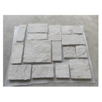 Pavé aléatoire en grès ivoire durable au design original pour projets de construction extérieure