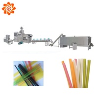 Chaîne de production complète biodégradable industrielle machine d'extrusion de paille de riz à boire comestible