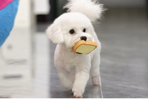 Jouet à mâcher interactif pour chien en latex en forme de pain au beurre, couineur, pour l'entretenissement des chiens - Product Image 6