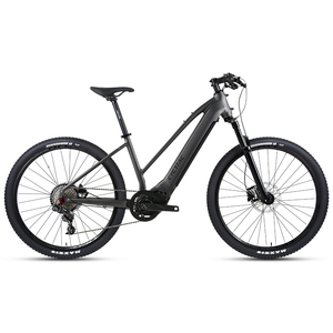 Vélo de montagne électrique 48V EMTB à moteur central haute vitesse, conception à pédalage assisté, batterie lithium intégrée, étanche, pour la ville - Product Image 1