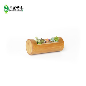 Bamboo <b>succulent</b> tube <b>succulent</b> planter bamboo flower <b>pot</b> creative bonsai DIY decoration, single section single hole household - Product Image 4
