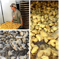 Industriële economische droogoven voor groenten en fruit, groothandel fabriek, abrikozen mango oven dehydrator bakapparatuur 304