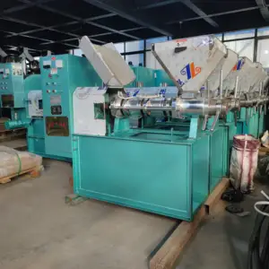 Máquina de prensado en frío de aceite virgen extra, máquina de procesamiento de aceite de girasol con prensa en frío