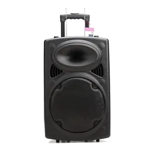 10 Inch Multi Media Wireless Trolly Speaker Dj Portable Trolley Speaker System With Replaceable Battery