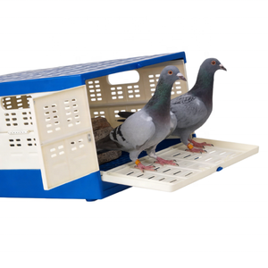 Cage de transport pliable pour oiseaux, portable, pour la course et l'élevage - Product Image 3