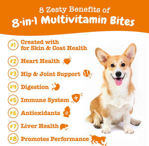 Supplément de vitamine <span class=keywords><strong>calcium</strong></span> OEM pour chiens et chats 8 en 1 multivitamines aliments pour animaux domestiques à mâcher soins de santé et suppléments pour animaux de compagnie - Product Image 2