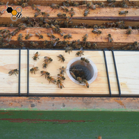 Alimentador de abeja con tapa de madera, marco de colmena negra de plástico de 6.5L