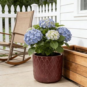 Pot de fleurs en céramique bordeaux foncé brillant de style américain, écologique, léger, texture à pois diamantés, pour intérieur et extérieur - Product Image 4