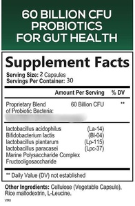 OEM Digestive and <b>Metabolic</b> Support 60 Billion Probiotic with Prebiotics Capsules 60 Count Vegan Digestive Dietary Supplement - Product Image 5