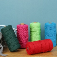 Fil acrylique coloré teint de 3 à 4 mm d'épaisseur, mélange de fils pour tissage manuel DIY, cordons de fixation, corde en coton, textile