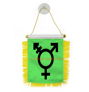 Meistverkaufte Maßgefertigte Trans-Alli Mini-Flaggen LGBT-Themen Regenbogen-Serie Aufhängbar mit Saugnapf Auto- und Wanddekoration Flaggen - Product Image 4