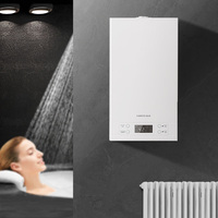 Chauffe-eau sans réservoir pour maison intelligente Chaudière à gaz murale Combinaison instantanée d'un navire en acier 10-12L Utilisation dans toute la maison Cuivre électrique