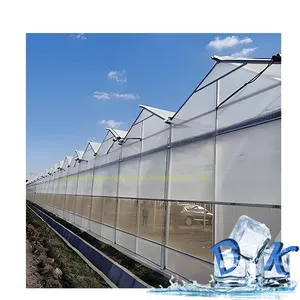 Low Cost poultry farm Farming animal husbandry green house pig/sheep/chicken breeding Plastic greenhouses