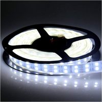 Bande lumineuse LED flexible à double rangée 5050, 12V DC, blanc chaud, cuivre, IP67, étanche, pour extérieur, jardin