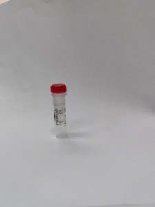 Anticuerpo Monoclonal Promabio para la Actina Alfa de Músculo Liso, Modelo 20033, Origen CN - Product Image 4