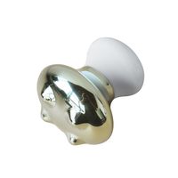 Masseur facial en métal doré avec logo personnalisé Spa Body Relaxant Face Lift Tool 304 Stainless Steel Mushroom Guasha Scraping