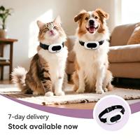 Collier GPS GSM intelligent pour animaux de compagnie, clôture virtuelle, suivi d'activité, étanche, stockage cloud, contrôlé par application, rechargeable, vente en gros, OEM